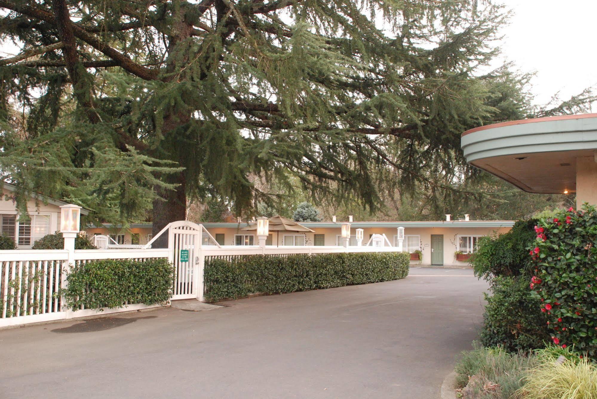 El Bonita Motel Santa Helena Exterior foto